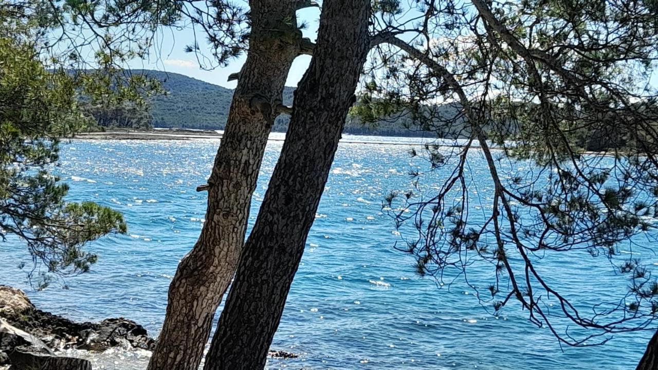 Apartment Gulin Σίμπενικ Εξωτερικό φωτογραφία